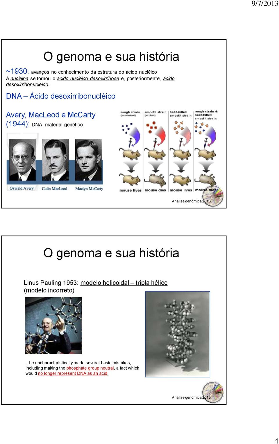 DNA Ácido desoxirribonucléico Avery, MacLeod e McCarty (1944): DNA, material genético Linus Pauling 1953: modelo