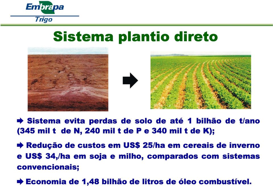 em US$ 25/ha em cereais de inverno e US$ 34,/ha em soja e milho, comparados