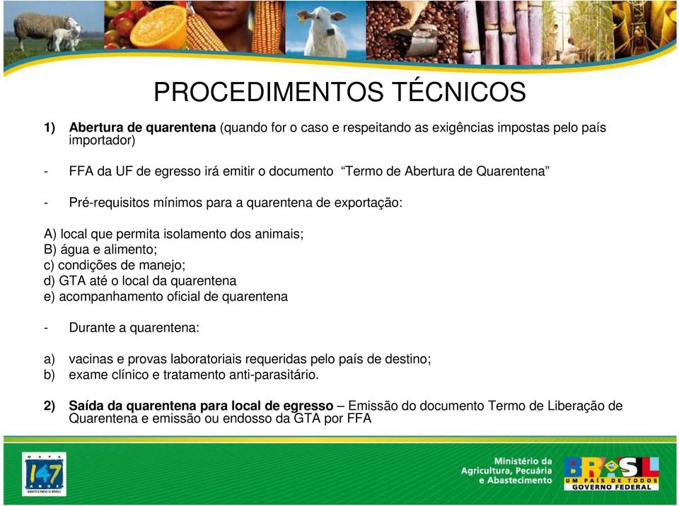 manejo; d) GTA até o local da quarentena e) acompanhamento oficial de quarentena - Durante a quarentena: a) vacinas e provas laboratoriais requeridas pelo país de destino; b)