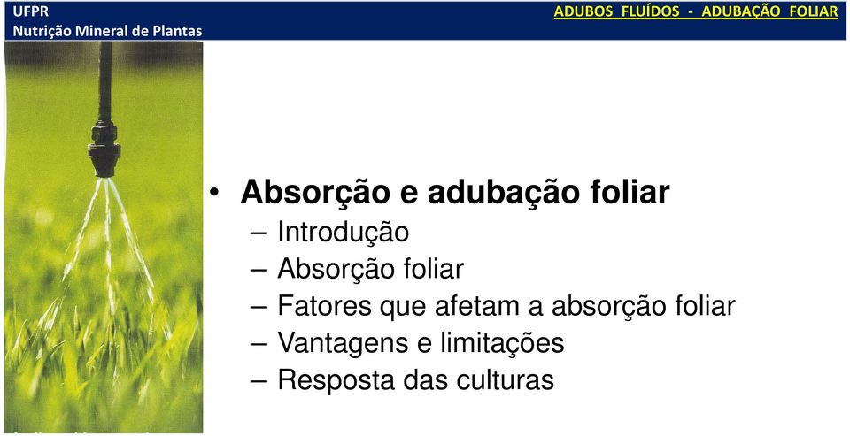 foliar Fatores que afetam a absorção