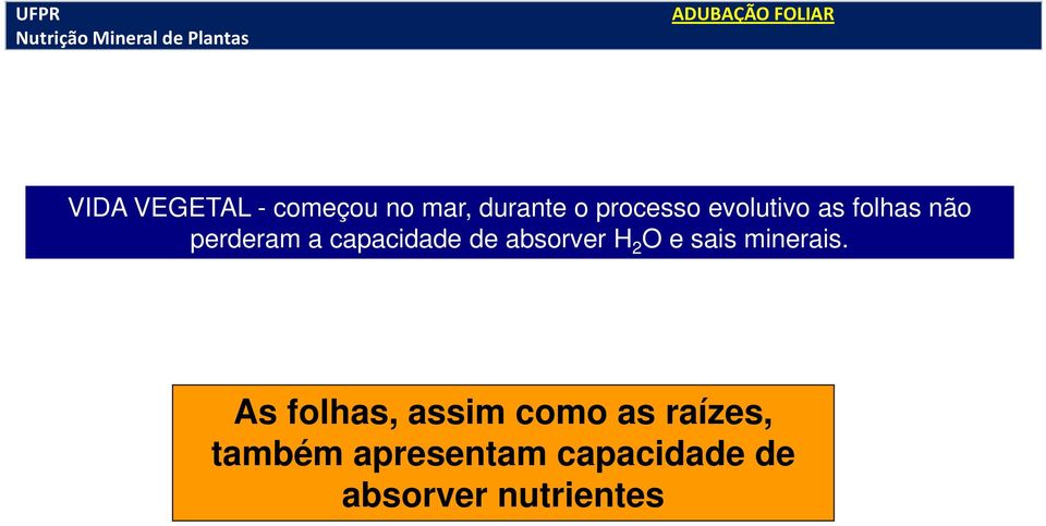 absorver H 2 O e sais minerais.