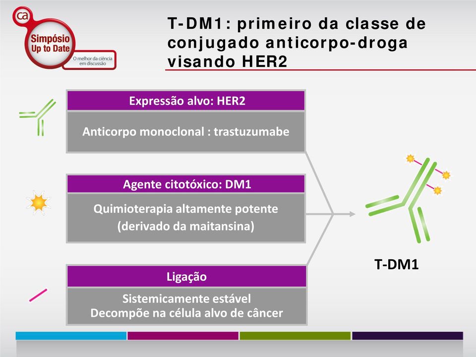 citotóxico: DM1 Quimioterapia altamente potente (derivado da