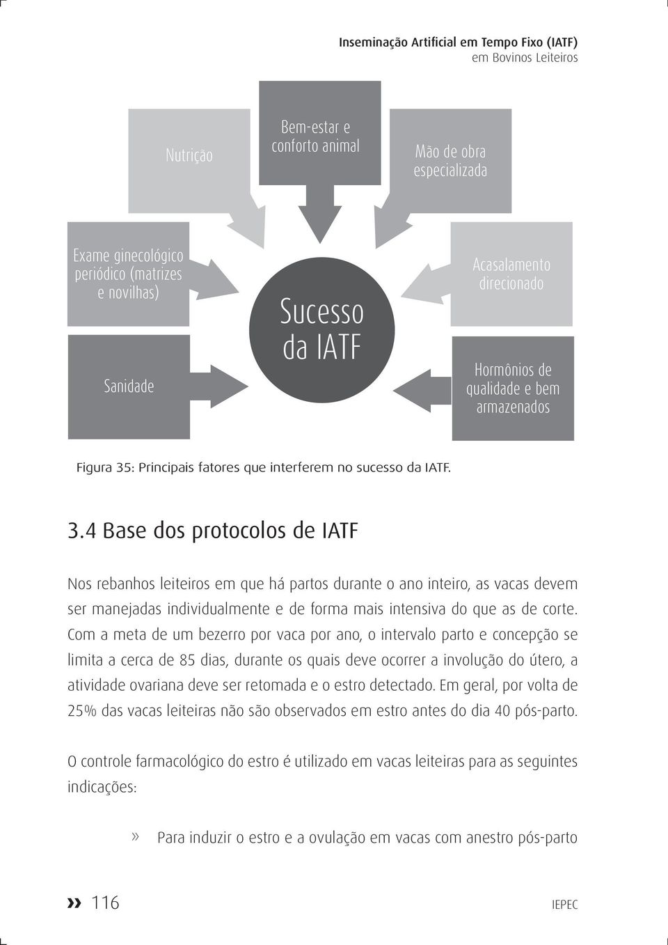 : Principais fatores que interferem no sucesso da IATF. 3.