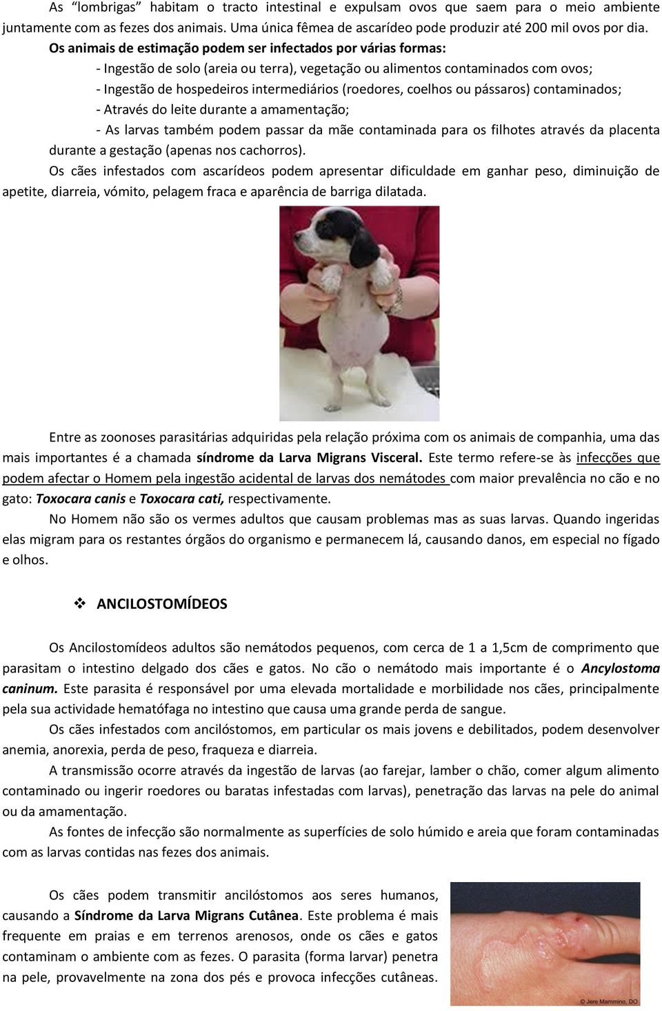 coelhos ou pássaros) contaminados; - Através do leite durante a amamentação; - As larvas também podem passar da mãe contaminada para os filhotes através da placenta durante a gestação (apenas nos