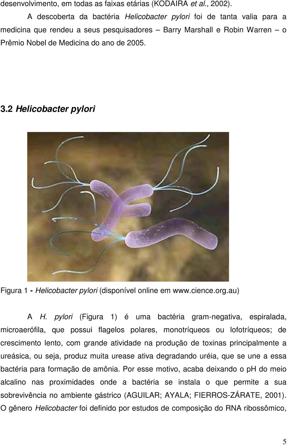 Infecția cu Helicobacter pylori şi riscul de cancer - Cancer - H papilloma bacteria