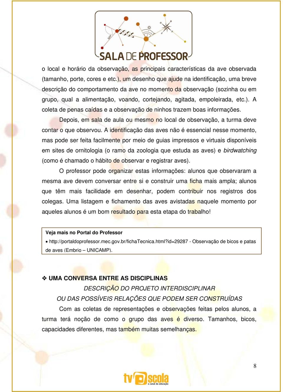 ). A coleta de penas caídas e a observação de ninhos trazem boas informações. Depois, em sala de aula ou mesmo no local de observação, a turma deve contar o que observou.