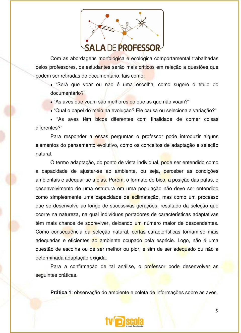 As aves têm bicos diferentes com finalidade de comer coisas diferentes?