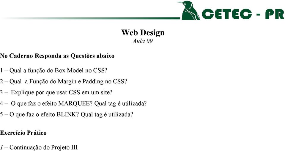 3 Explique por que usar CSS em um site?