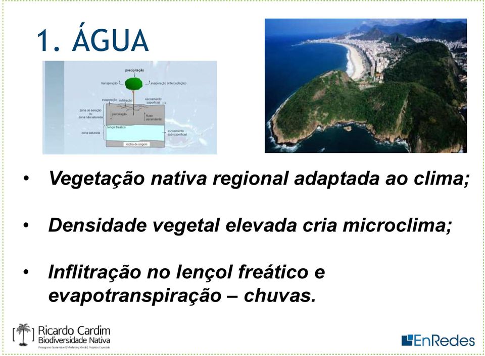 elevada cria microclima; Inflitração