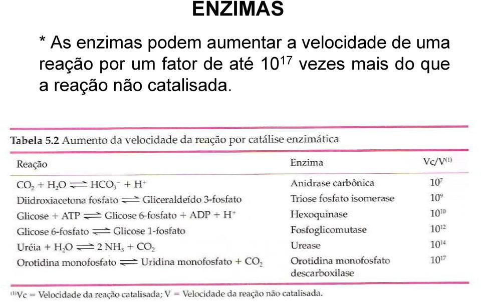 reação por um fator de até 10 17