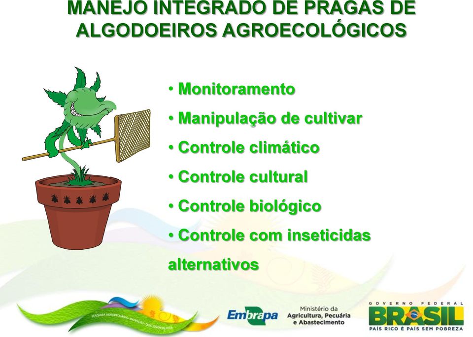 cultivar Controle climático Controle cultural