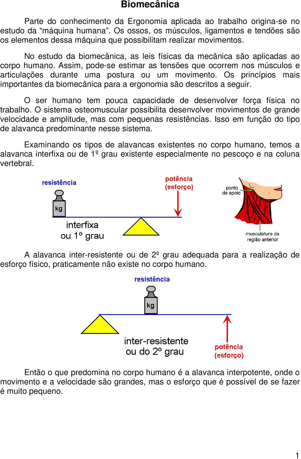 Assim, pode-se estimar as tensões que ocorrem nos músculos e articulações durante uma postura ou um movimento. Os princípios mais importantes da biomecânica para a ergonomia são descritos a seguir.