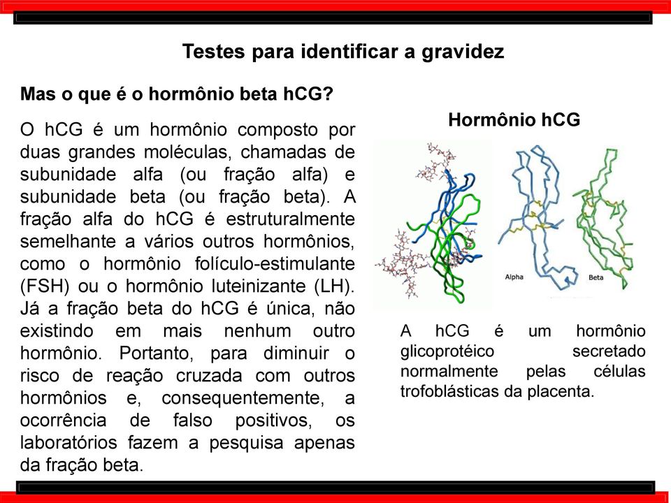 A fração alfa do hcg é estruturalmente semelhante a vários outros hormônios, como o hormônio folículo-estimulante (FSH) ou o hormônio luteinizante (LH).