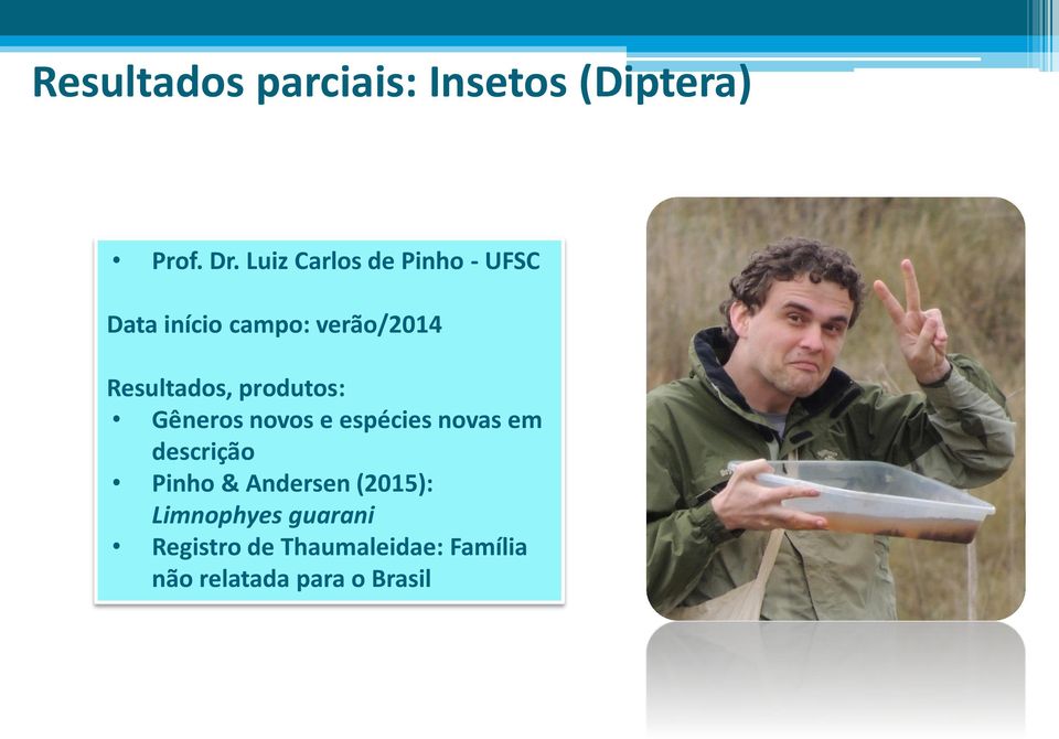 produtos: Gêneros novos e espécies novas em descrição Pinho &