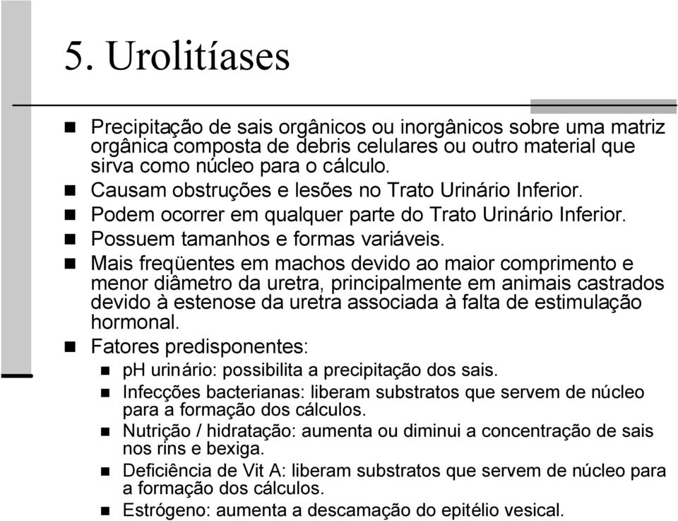 Mais freqüentes em machos devido ao maior comprimento e menor diâmetro da uretra, principalmente em animais castrados devido à estenose da uretra associada à falta de estimulação hormonal.