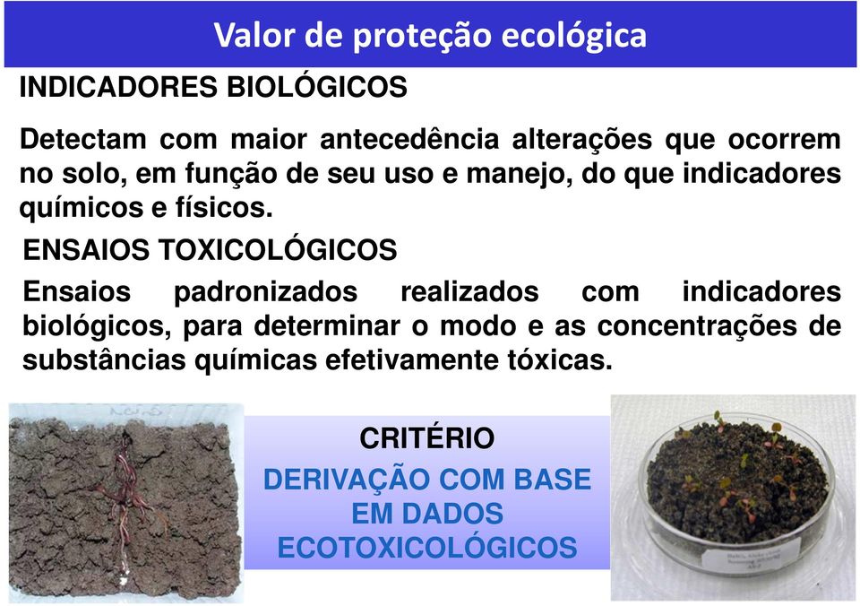 ENSAIOS TOXICOLÓGICOS Valor de proteção ecológica Ensaios padronizados realizados com indicadores