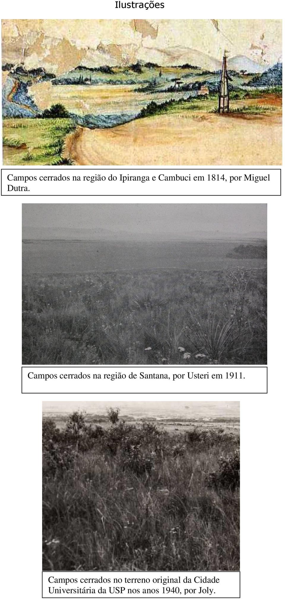 Campos cerrados na região de Santana, por Usteri em 1911.