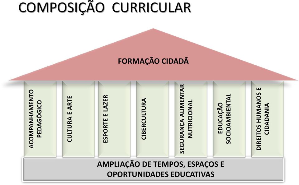 SOCIOAMBIENTAL DIREITOS HUMANOS E CIDADANIA COMPOSIÇÃO CURRICULAR