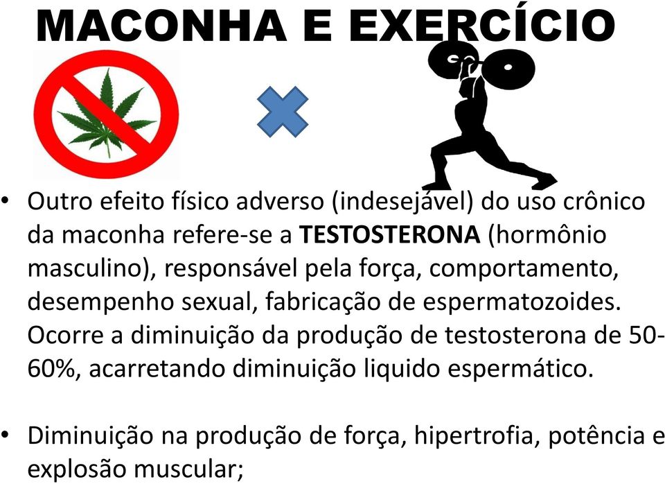 fabricação de espermatozoides.