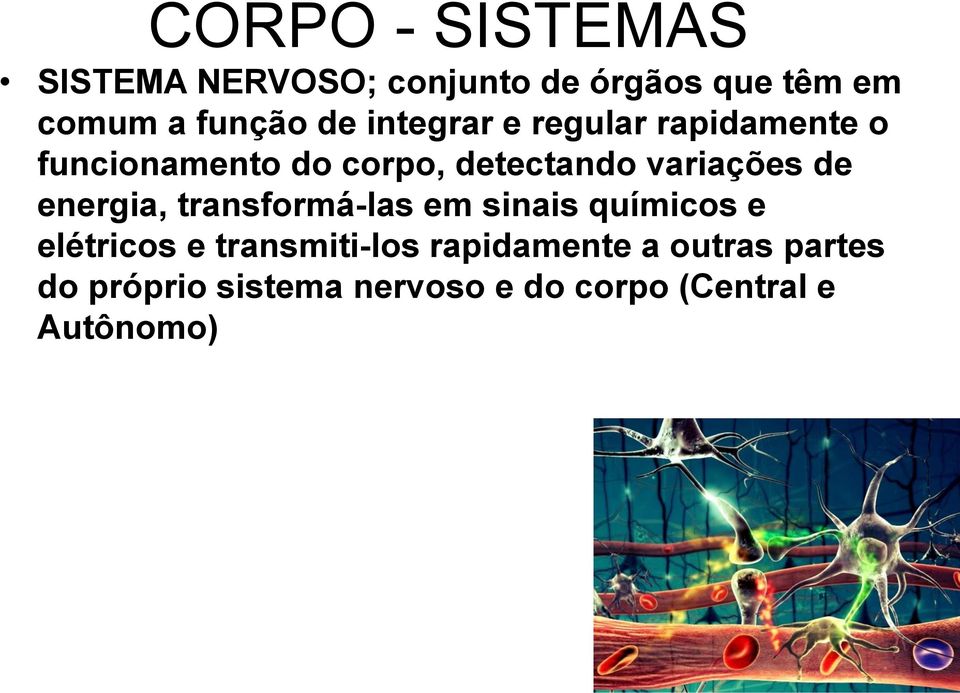 variações de energia, transformá-las em sinais químicos e elétricos e