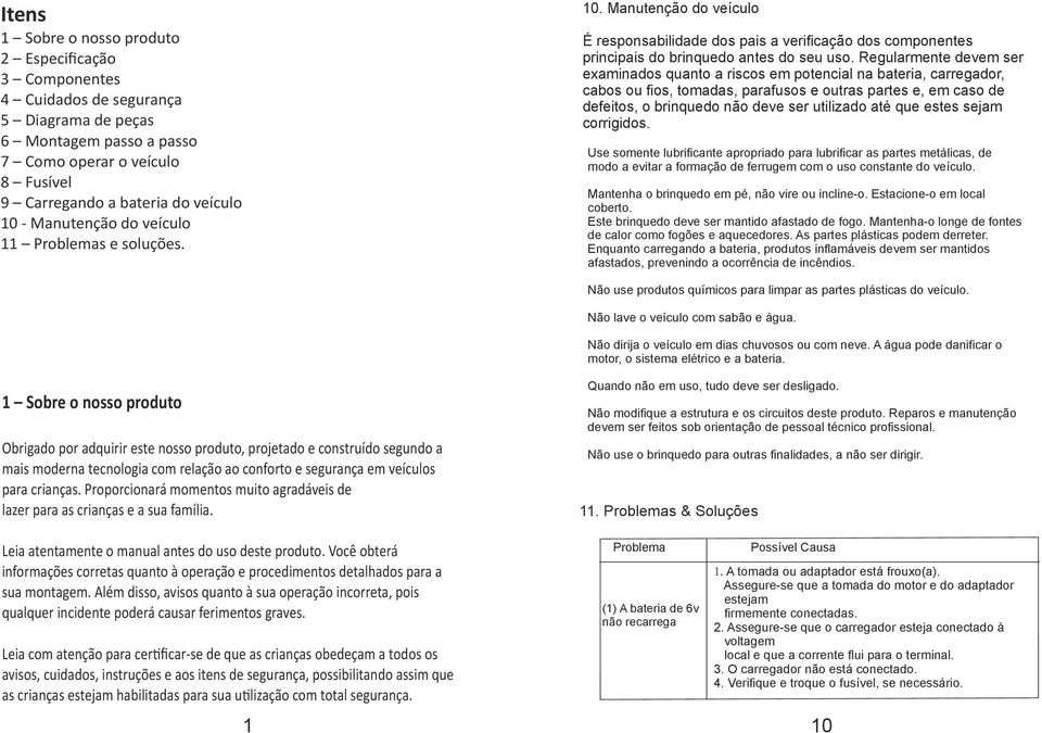 Regularmente devem ser examinados quanto a riscos em potencial na bateria, carregador, cabos ou fios, tomadas, parafusos e outras partes e, em caso de defeitos, o brinquedo não deve ser utilizado até