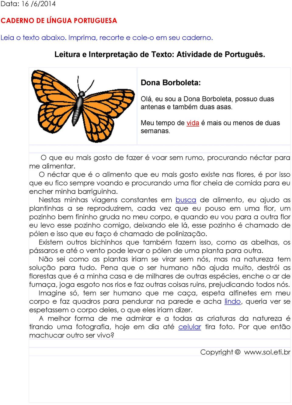 . O que eu mais gosto de fazer é voar sem rumo, procurando néctar para me alimentar.