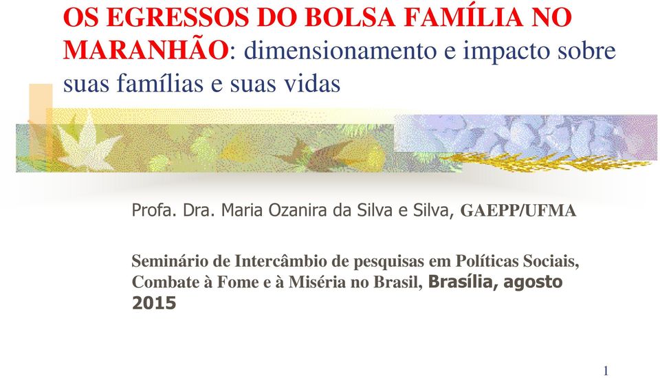 Maria Ozanira da Silva e Silva, GAEPP/UFMA Seminário de Intercâmbio