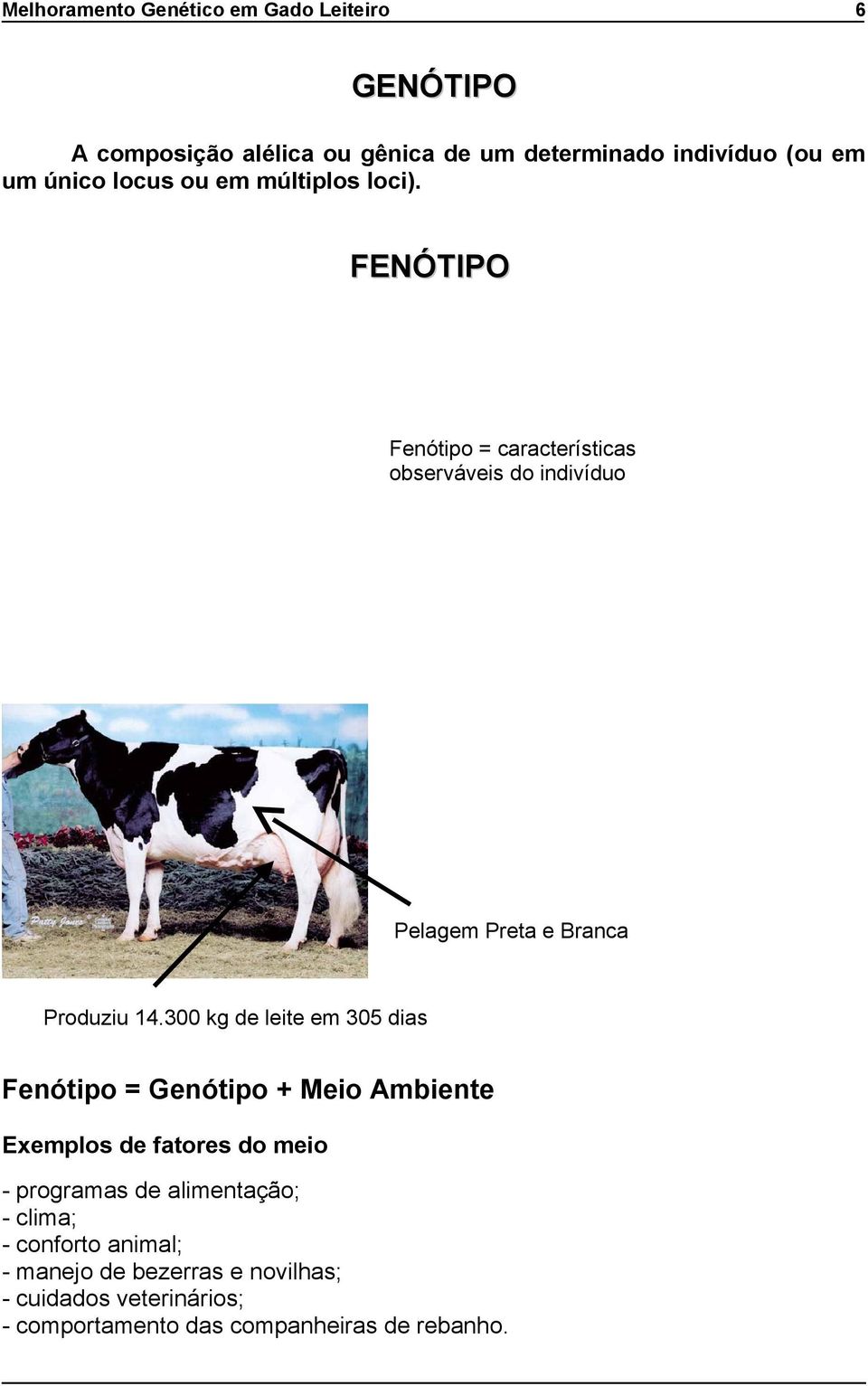 300 kg de leite em 305 dias Fenótipo = Genótipo + Meio Ambiente Exemplos de fatores do meio - programas de alimentação; -