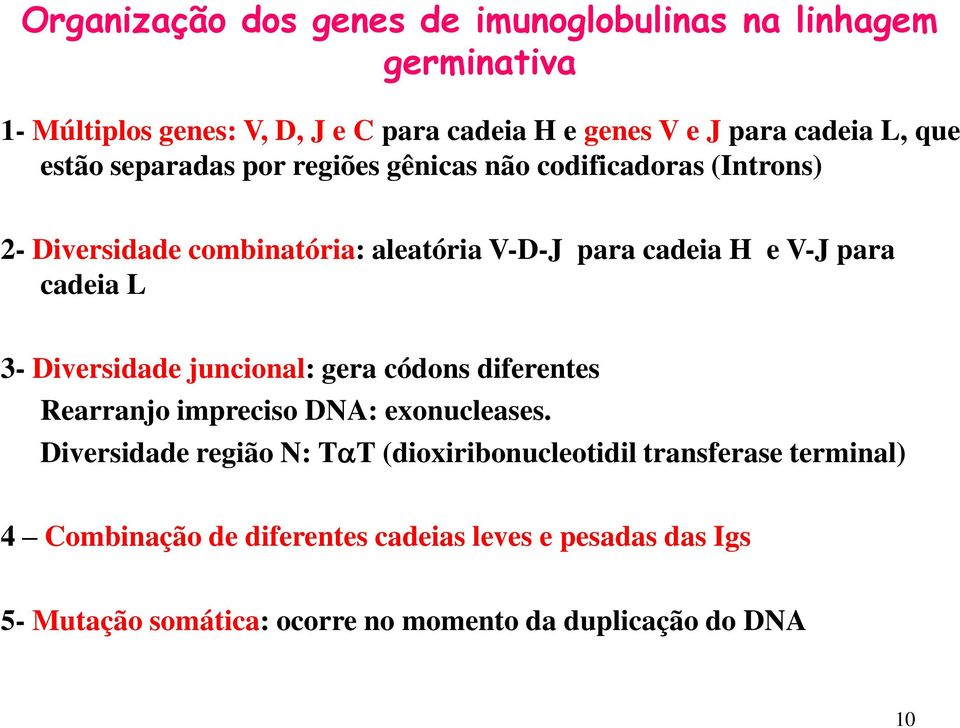cadeia L 3- Diversidade juncional: gera códons diferentes Rearranjo impreciso DNA: exonucleases.