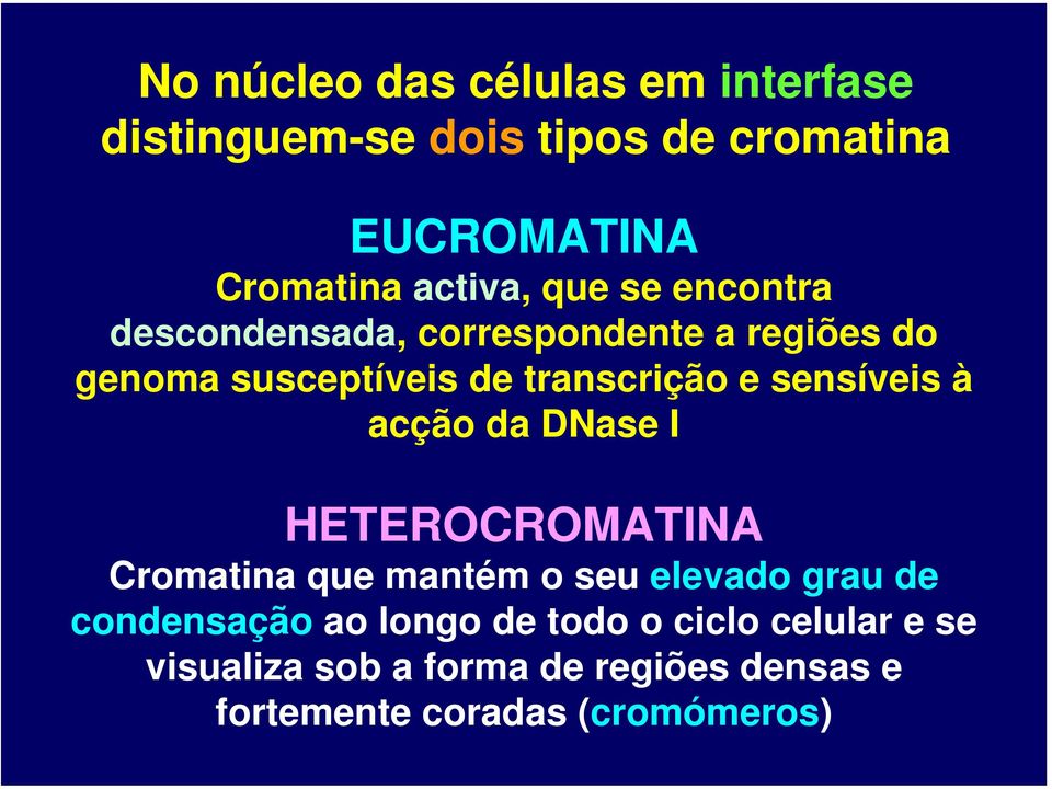 sensíveis à acção da DNase I HETEROCROMATINA Cromatina que mantém o seu elevado grau de condensação ao