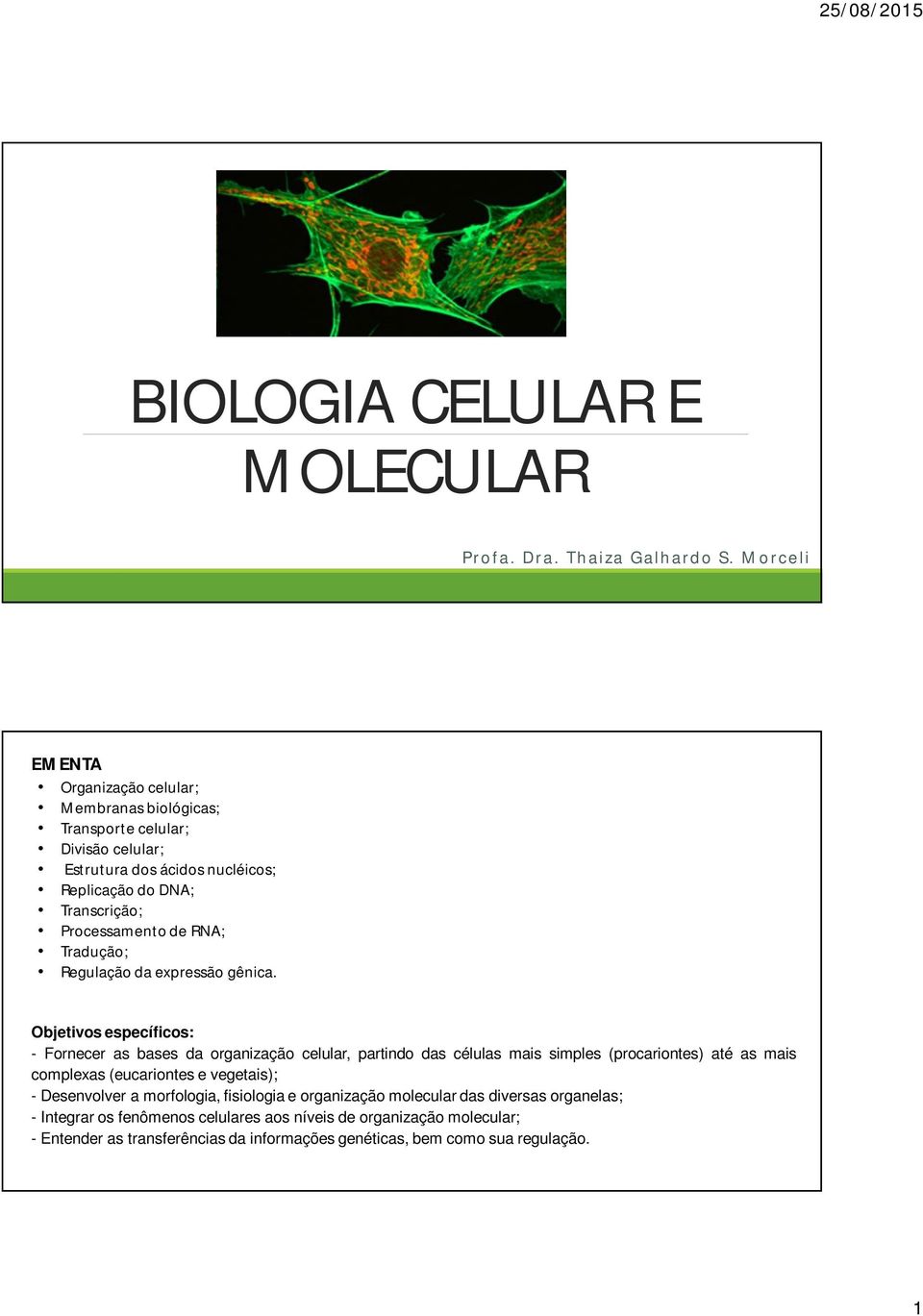 Processamento de RNA; Tradução; Regulação da expressão gênica.