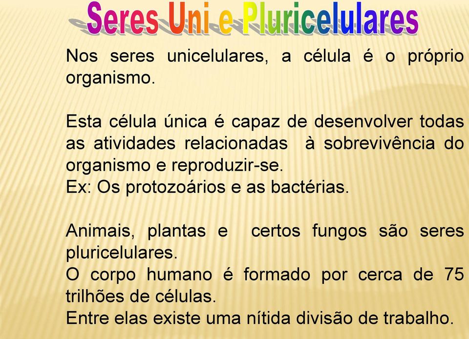 organismo e reproduzir-se. Ex: Os protozoários e as bactérias.