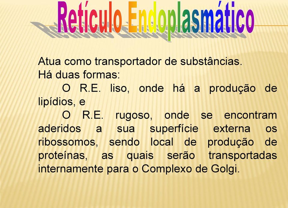 rugoso, onde se encontram aderidos a sua superfície externa os