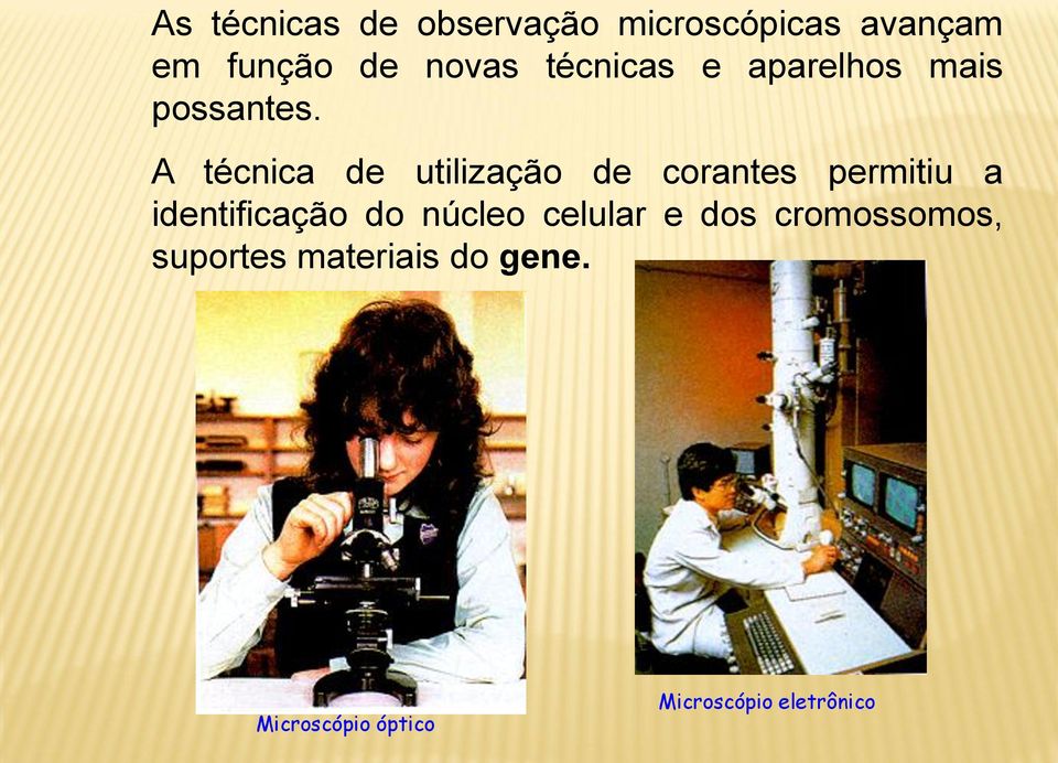 A técnica de utilização de corantes permitiu a identificação do