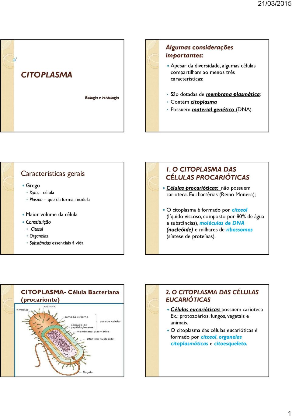 Características gerais Grego Kytos - célula Plasma que da forma, modela Maior volume da célula Constituição Citosol Organelas Substâncias essenciais à vida 1.