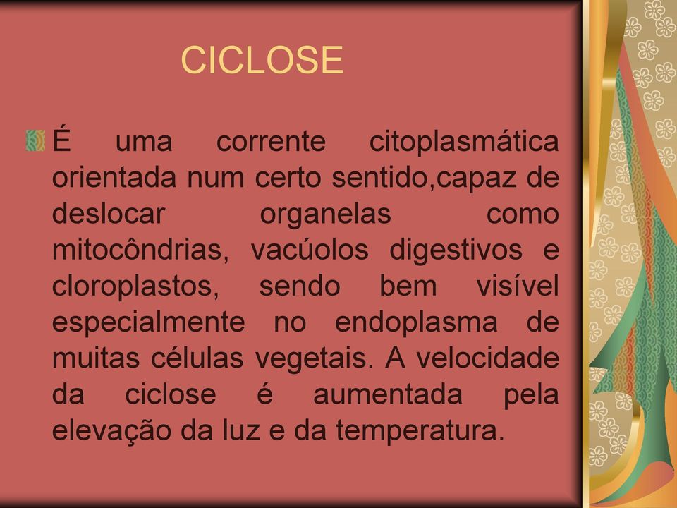 sendo bem visível especialmente no endoplasma de muitas células vegetais.