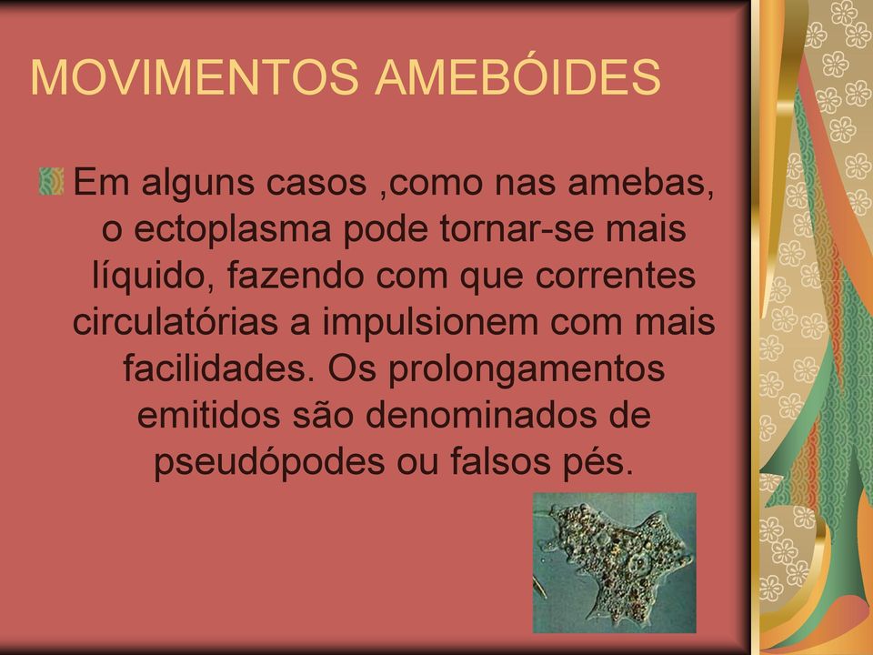 correntes circulatórias a impulsionem com mais facilidades.