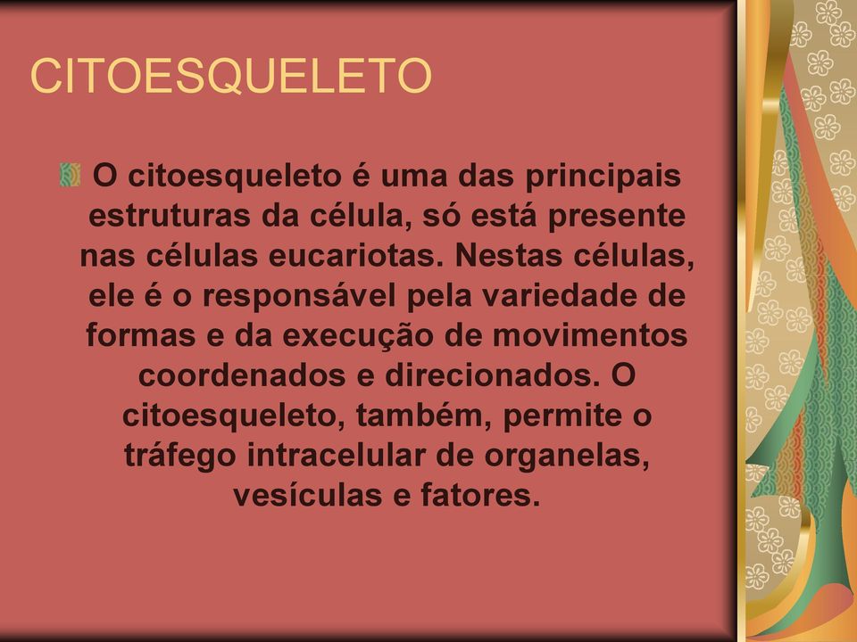 Nestas células, ele é o responsável pela variedade de formas e da execução de