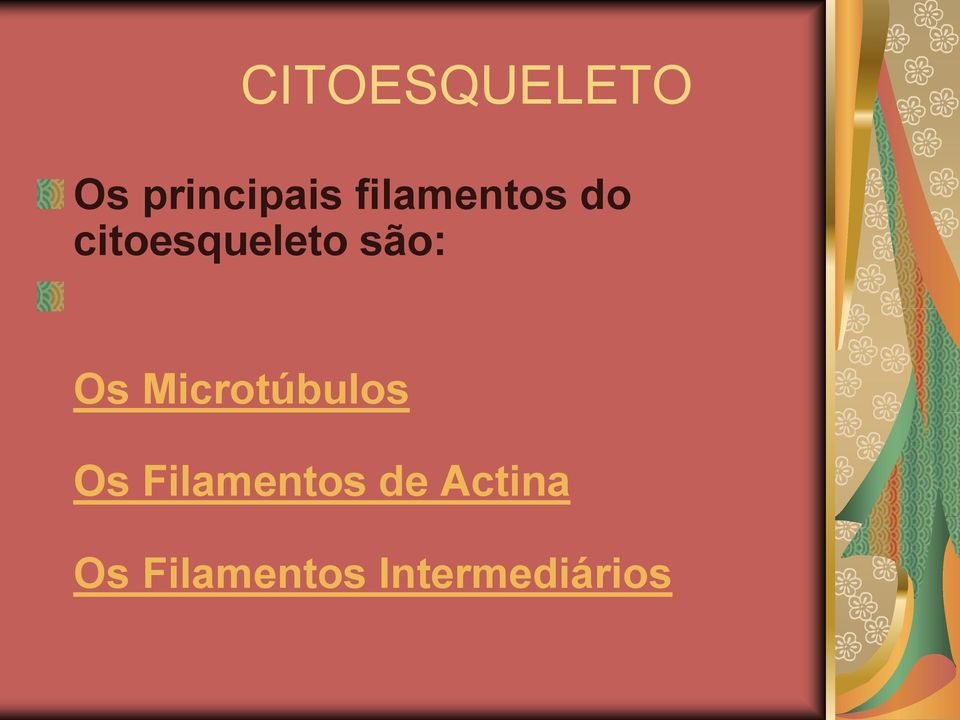 Os Microtúbulos Os Filamentos de