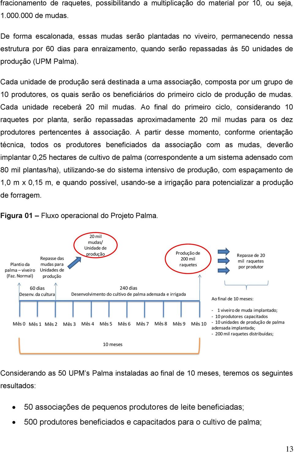 Cada unidade de produção será destinada a uma associação, composta por um grupo de 10 produtores, os quais serão os beneficiários do primeiro ciclo de produção de mudas.