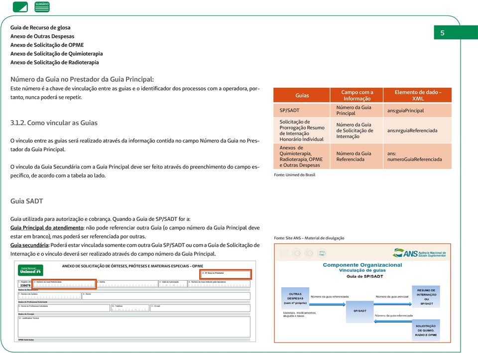 Guias Campo com a Informação Elemento de dado - XML SP/SADT Número da Guia Principal ans:principal 3.1.2.