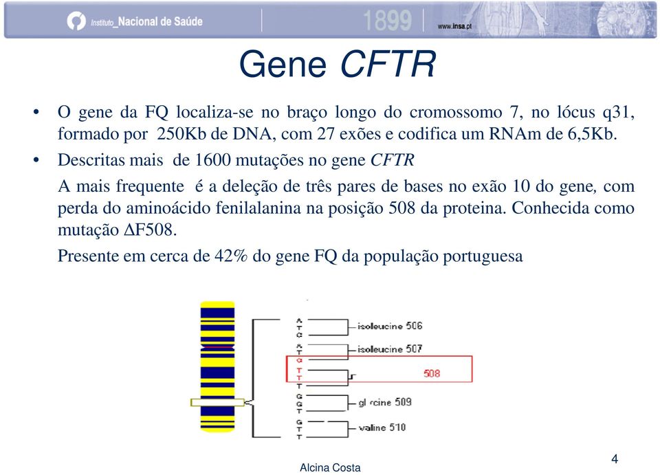 Descritas mais de 1600 mutações no gene CFTR A mais frequente é a deleção de três pares de bases no exão