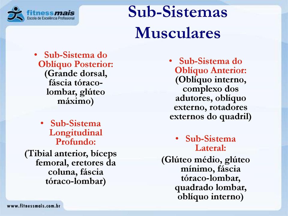 Sub-Sistema do Oblíquo Anterior: (Oblíquo interno, complexo dos adutores, oblíquo externo, rotadores externos do