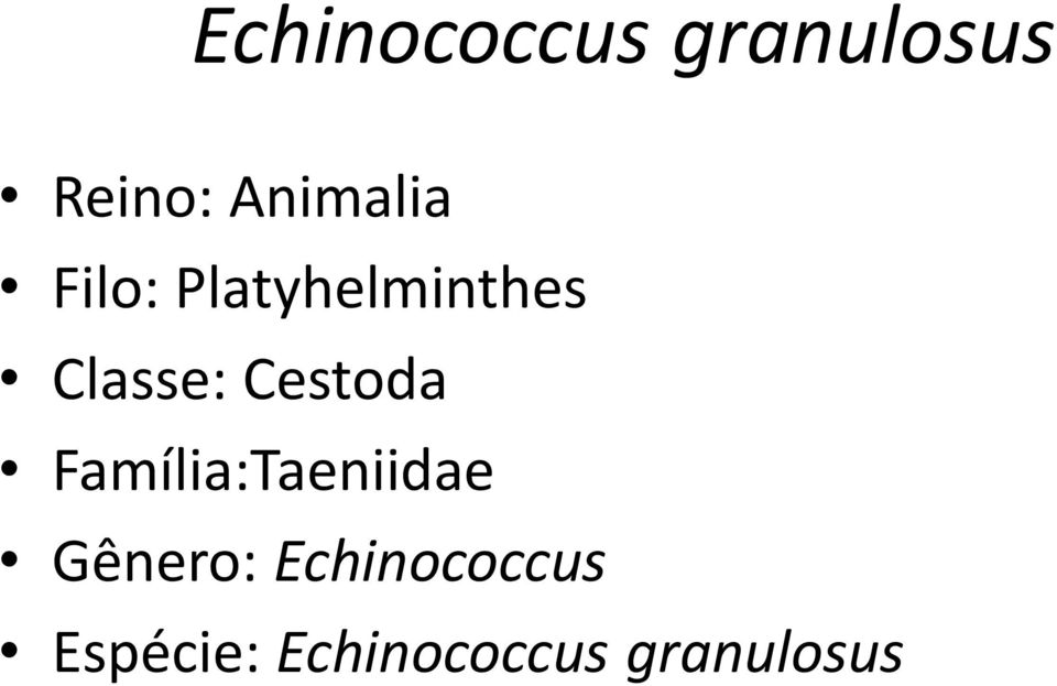 Classe: Cestoda Família:Taeniidae