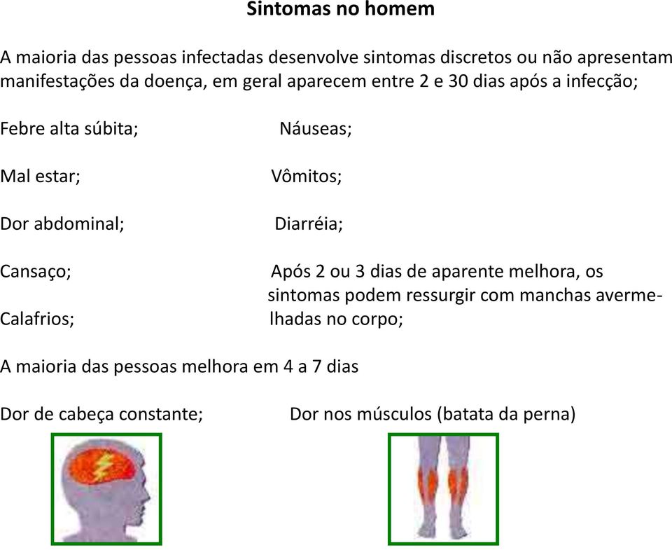 Calafrios; Náuseas; Vômitos; Diarréia; Após 2 ou 3 dias de aparente melhora, os sintomas podem ressurgir com manchas