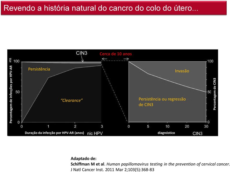 .. Cerca de 10 anos Persistência Invasão Clearance Persistência ou regressão de CIN3 Duração da