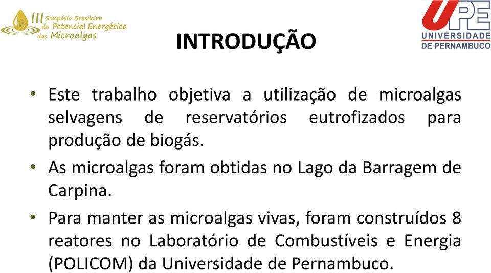 As microalgas foram obtidas no Lago da Barragem de Carpina.