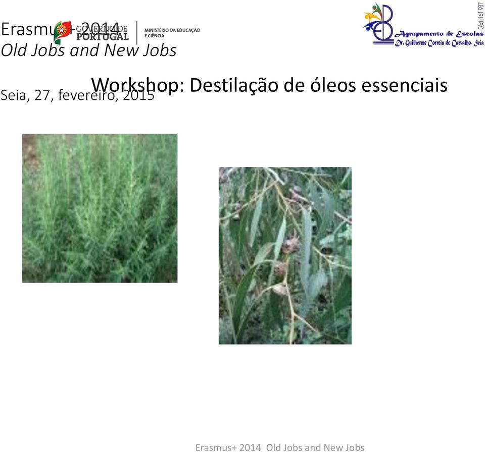 Workshop: Destilação de óleos