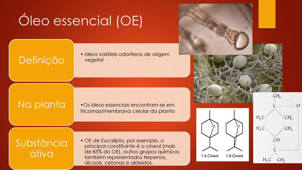 ativa OE de Eucalipto, por exemplo, o principal constituinte é o cineol (mais de 85%