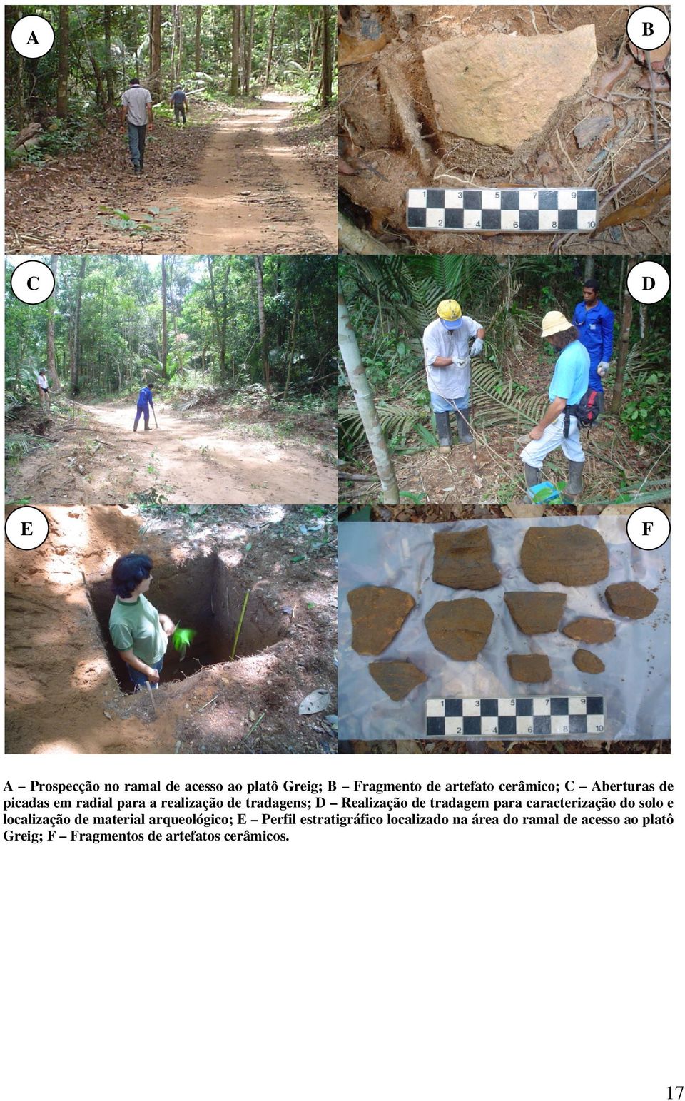 tradagem para caracterização do solo e localização de material arqueológico; E Perfil